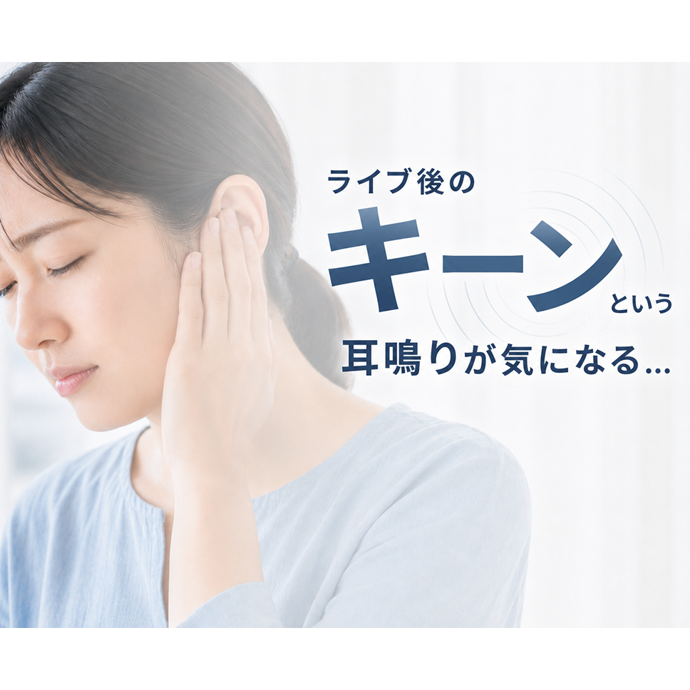 Hush Clear  ライブ用イヤープラグ